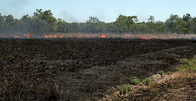 Kakadu NP, bush fire