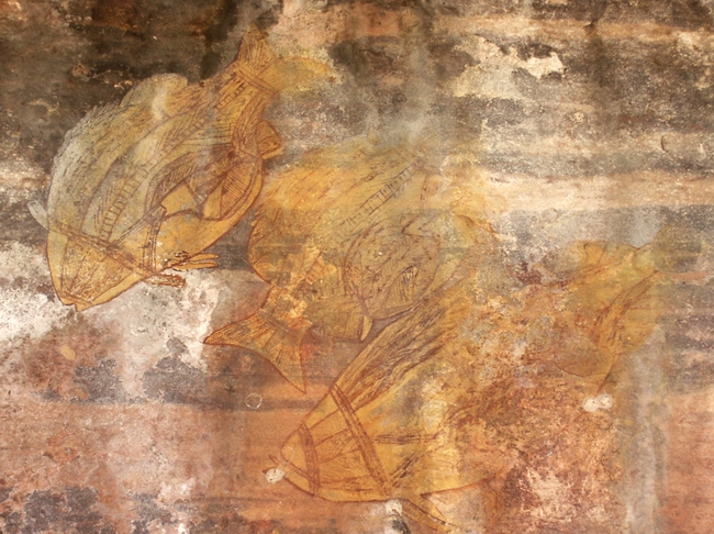 Kakadu NP, Ubirr Rock rotsschildering