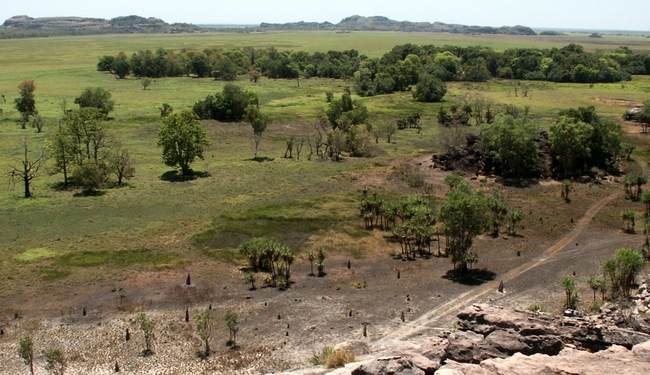 Kakadu NP, uitzicht vanaf Ubirr Rock, vlakte